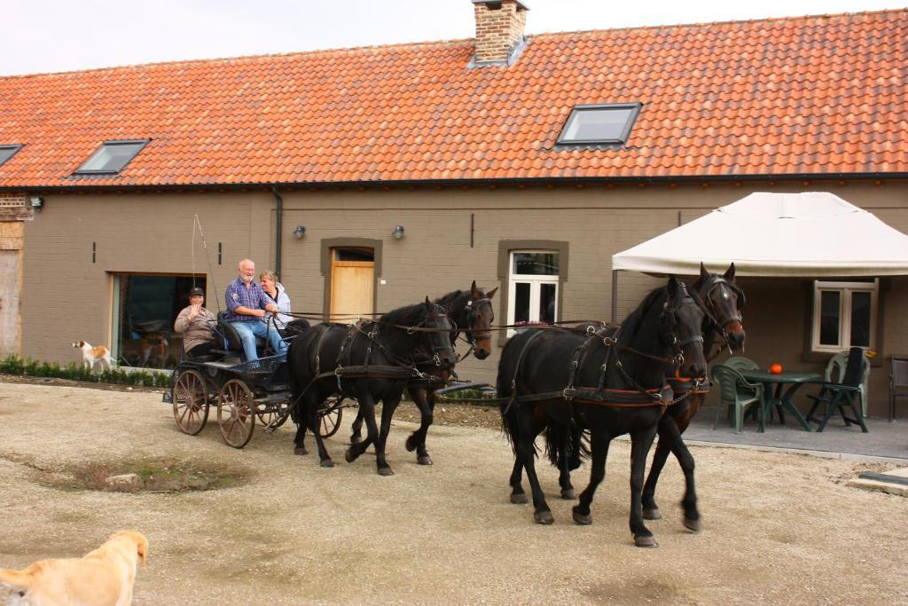 B&B Crijbohoeve Zutendaal Exterior photo